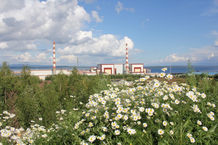 Dünya Nükleer Derneği Raporu: “Küresel sorunların çözümünde doğru adres nükleer enerji”
