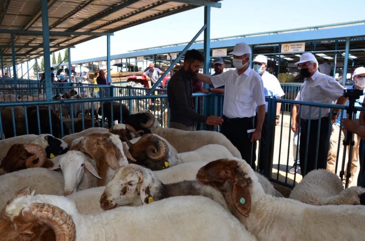 Kurban Bayramı öncesi tüm tedbirler gözden geçirildi