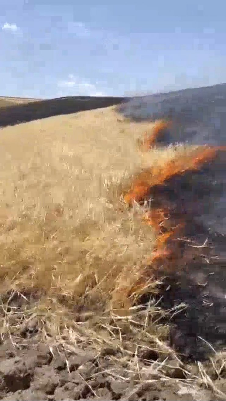 Başkan Sayan’a ait tarım arazisinde yangın çıktı