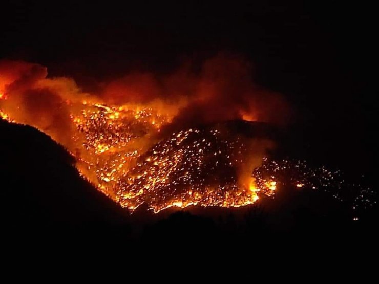Mersin Aydıncık’taki orman yangını sürüyor