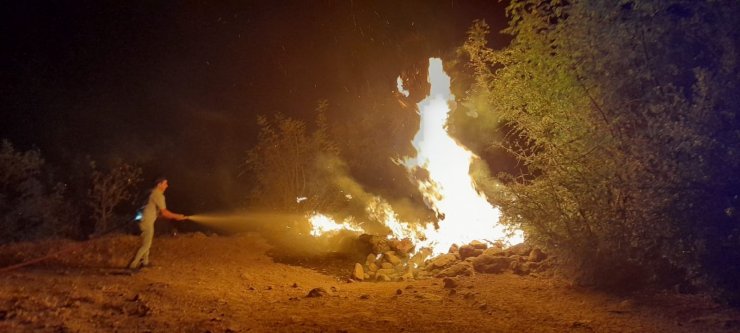 Orman yangınının ortasında kalan kaplumbağaya jandarma eli