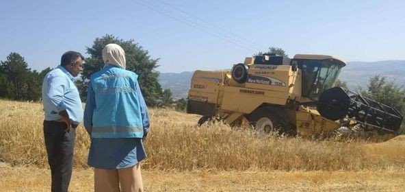 Hisarcık’ta biçerdöver ile hasat kontrolleri