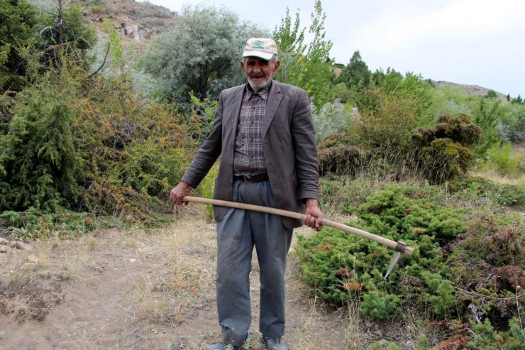 Ahmet Dede, kasabasında bulunan dağa 34 yıldır fidan dikiyor