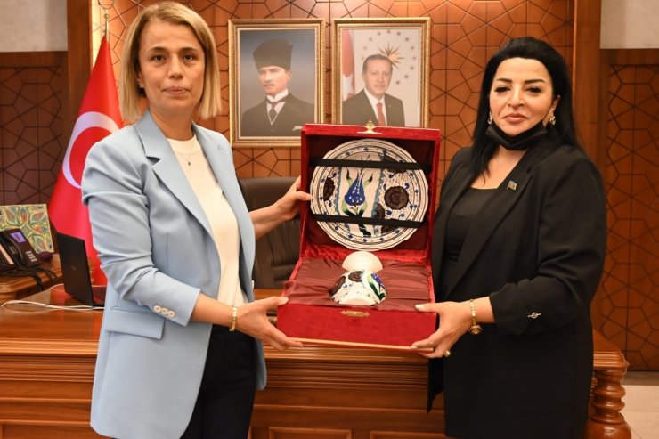 Azeri vekilden Vali Becel’e ziyaret