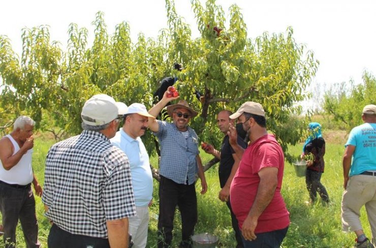 Iğdır İl Tarım Müdürü Yolcu, tarlada çalışan çiftçileri dinledi