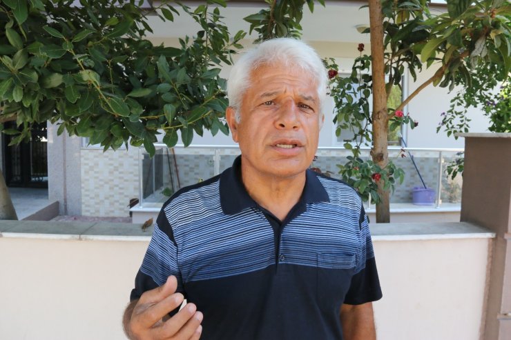 Yat turunda denize giren kadını kaplumbağa ısırdı