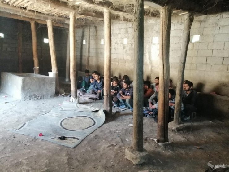 Van’da 2 ahırda 42 düzensiz göçmen yakalandı