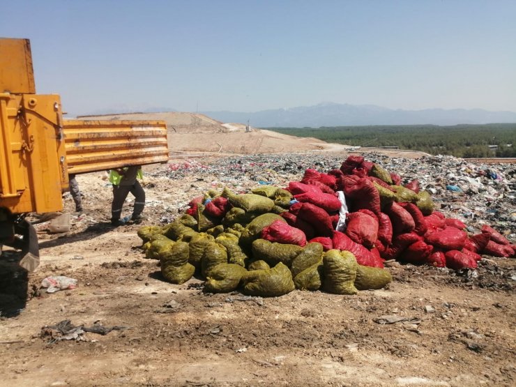 Antalya’da 4 ton kaçak midye ele geçirildi