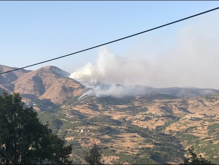 Bingöl’de 2 farklı noktada orman yangını