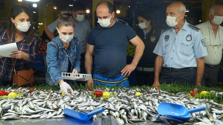 Kağıthane’de semt pazarlarında balık denetimi