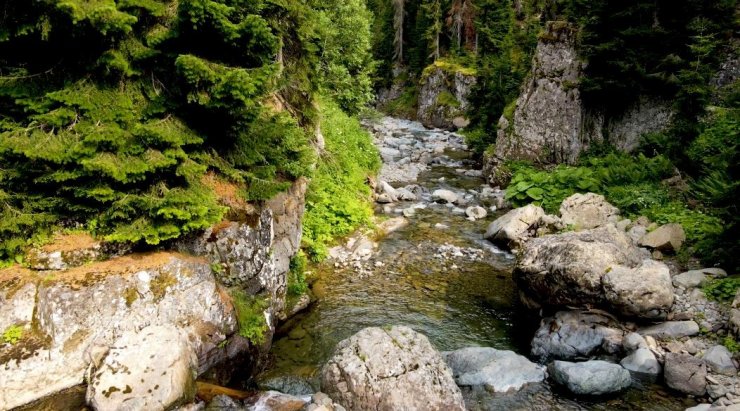 Muhteşem doğasıyla Papart Vadisi büyülüyor