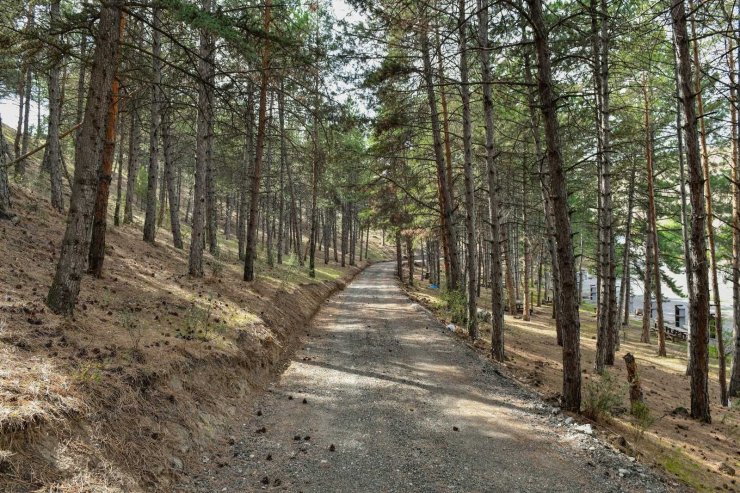 Karaköy Mesire Alanı hizmete açıldı