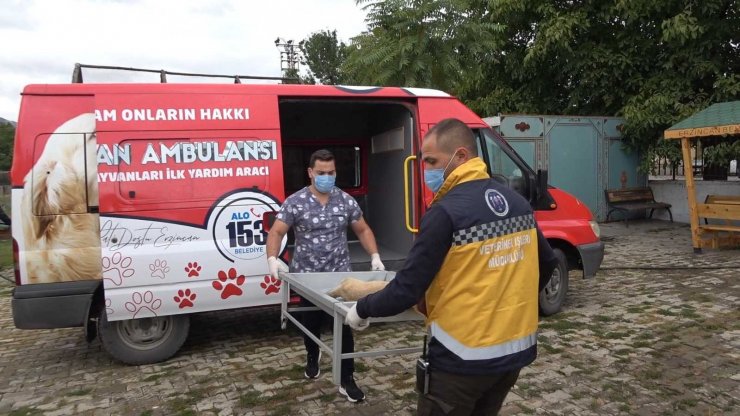 Erzincan’da ’hayvan ambulansı’ hizmete girdi