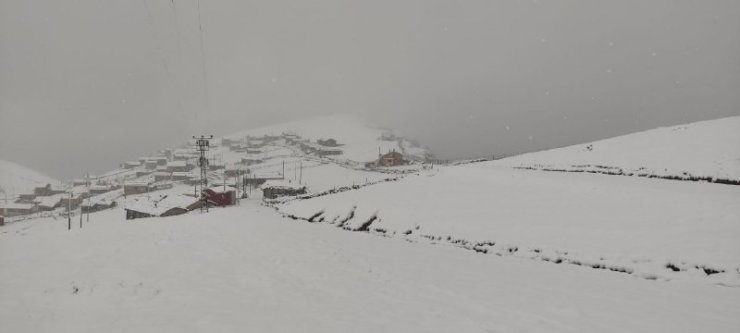 Trabzon’un yaylaları beyaza büründü