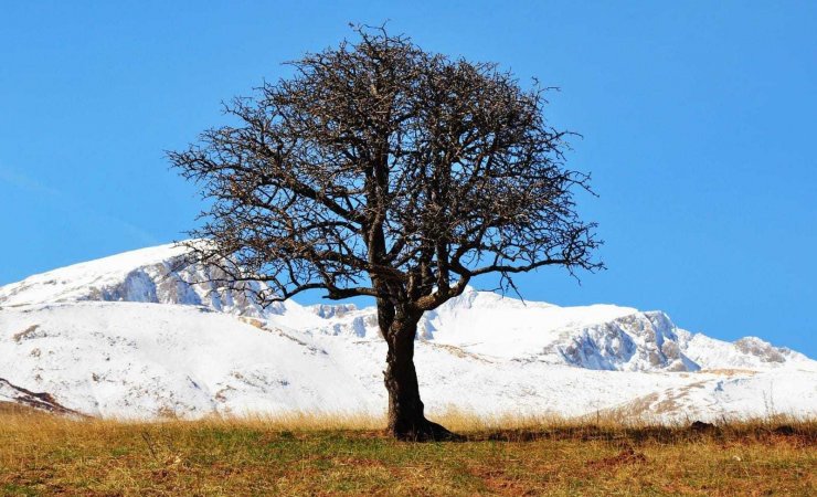 Tunceli’nin yüksek kesimlerinde kar yağışı etkili oldu