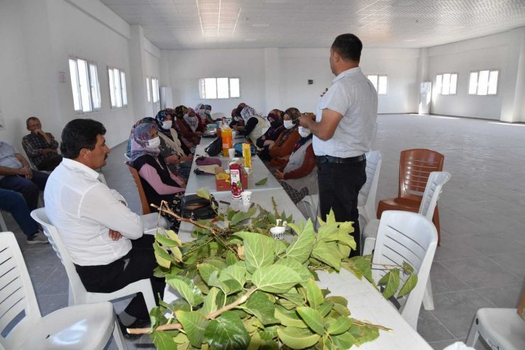 Yunusemre Belediyesinden üreticilere aşılama eğitimi