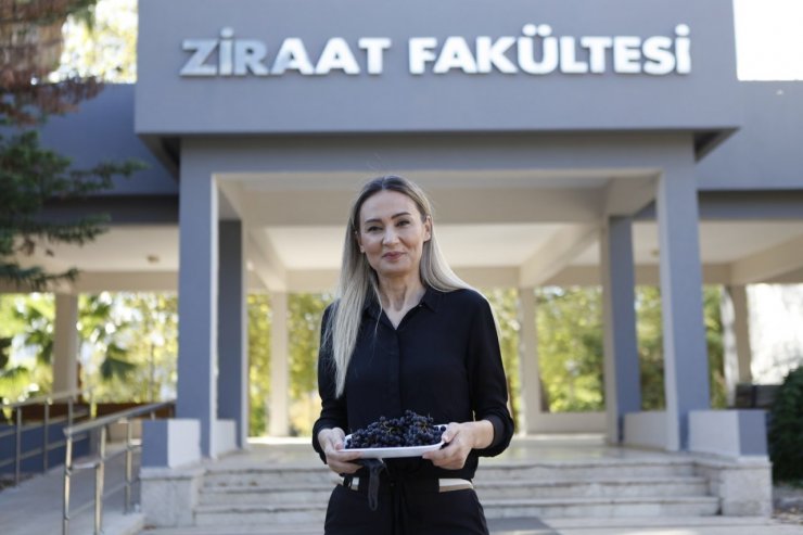 Antalya’nın yüksek rakımlarında üretilen ’süper meyve’ Aronya, pandemi sürecinin gözdesi oldu