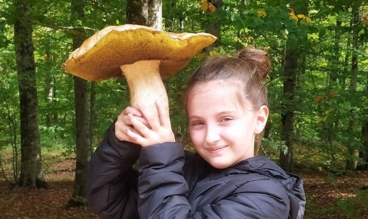 Mantar avcısı minik kız 2 kiloluk dev mantar buldu
