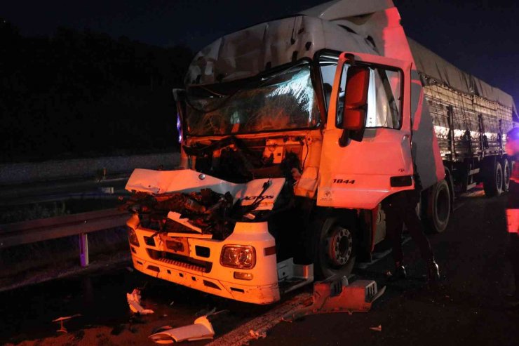 TEM Otoyolu’nda kamyona çarpan tırın sürücüsü yaralandı