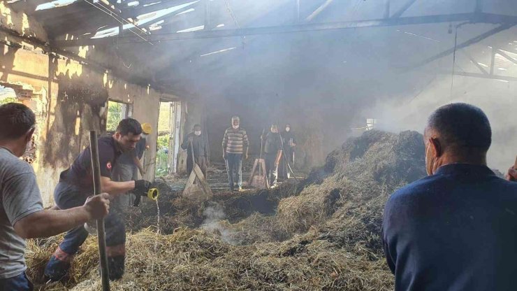 Tavuk çiftliğinde çıkan yangın 200 balya samanı kül etti