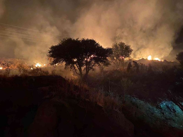 Bodrum’daki yangında 10 dönün makilik alan zarar gördü