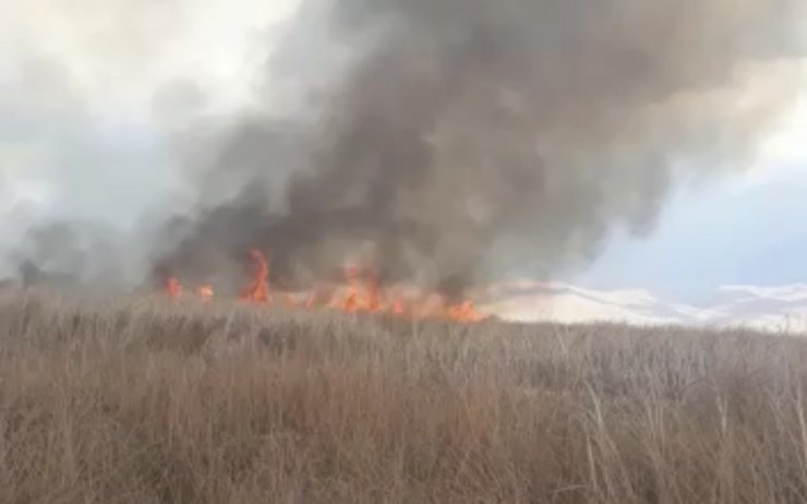 Yüksekova’daki Nehil Sazlığı’nda yangın