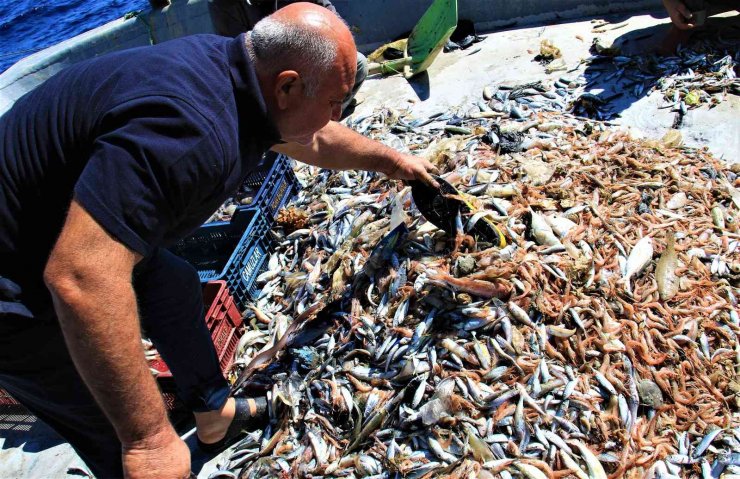 Akdeniz’de balıktan çok çöp çıkıyor, balıkçı nadas istiyor