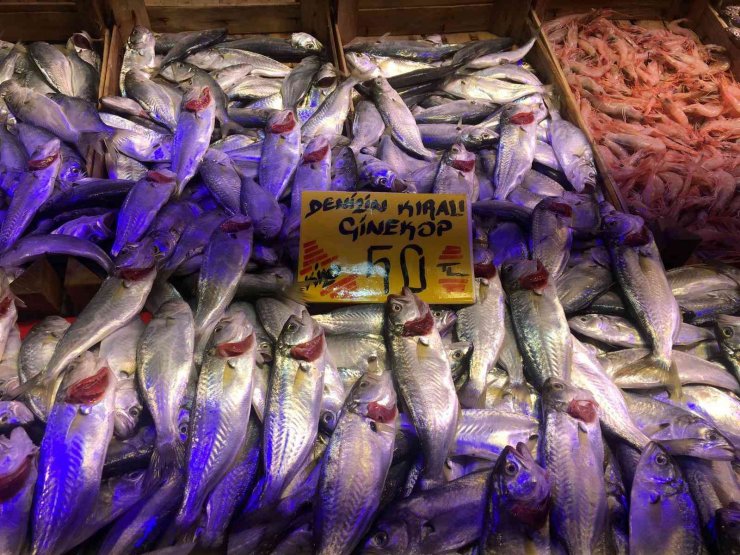 Yağışlar balık fiyatlarını uçurdu