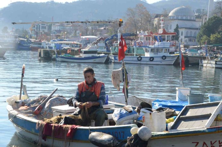 Fırtına balıkçıları vurdu, fiyatlar ikiye katlandı: Hamsi 35 lira