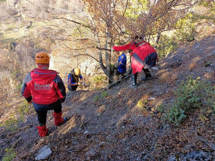 Bursa’da kayalıklarda mahsur kalıp ölümü bekleyen köpeği ekipler kurtardı