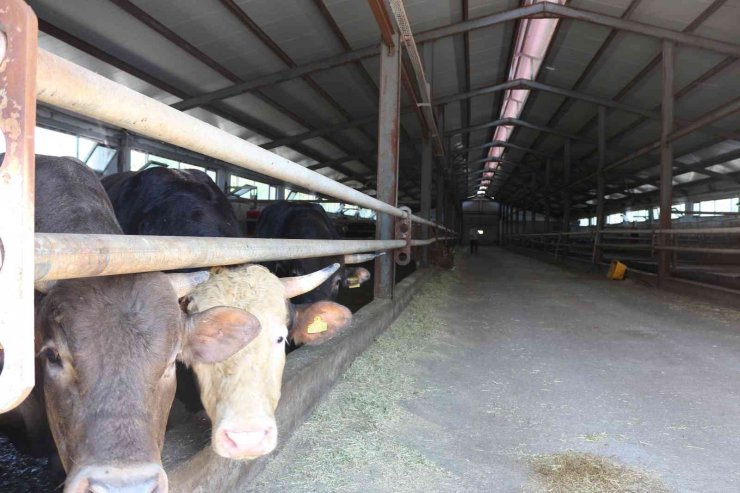 Erzurum’a 42 milyon hibe desteği