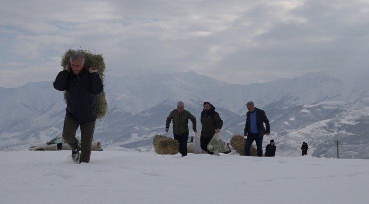 Bingöl’de yaban hayvanları için karla kaplı dağlara yem bırakıldı
