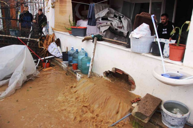 Bodrum’da sel faciası, evleri su bastı, sokak hayvanları boğuldu