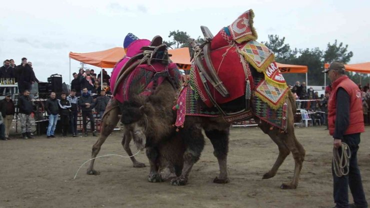 Burhaniye’de festival hazırlıkları tamamlandı