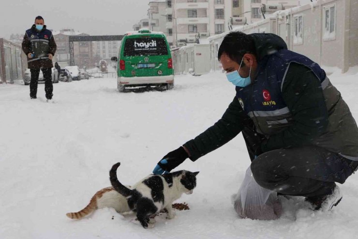 Elazığ’da ’HAYDİ’ polisleri sokak hayvanlarını mamayla besledi
