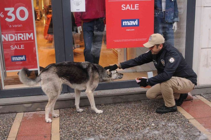 Yalova polisi sokak hayvanlarına mama bıraktı
