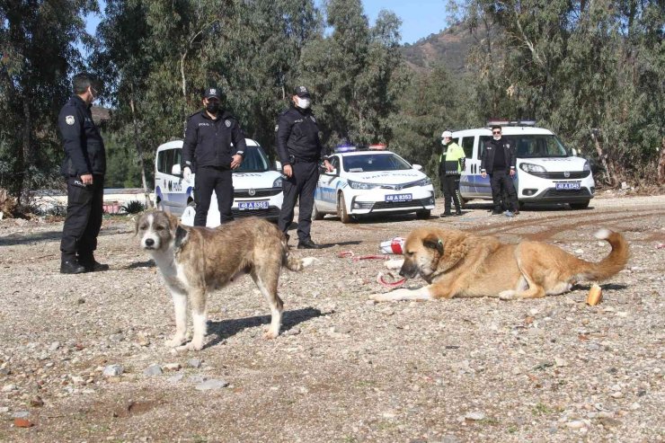 Polis ekipleri zorlu kış şartlarında sokak hayvanlarını unutmadı