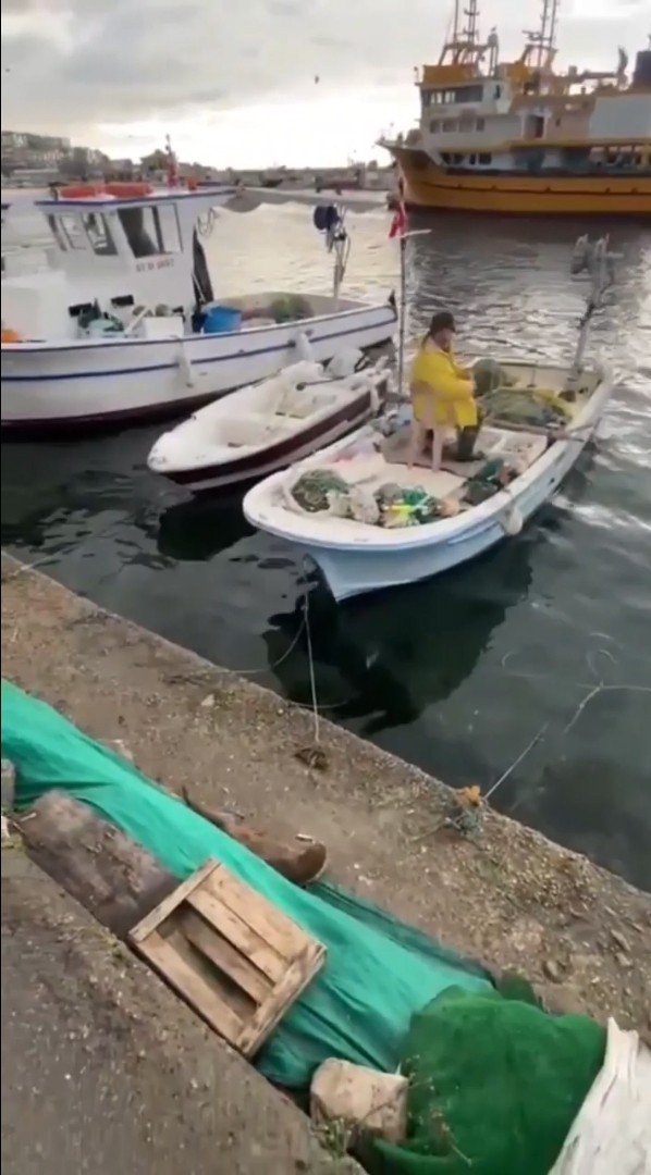 Balıkçı tarafından beslenen su samuru kameralara yansıdı