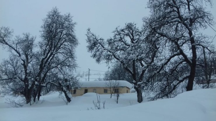 Tunceli’de 151 köy yolunda karla mücadele sürüyor