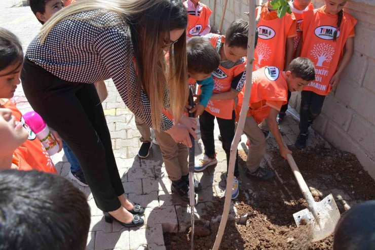 Silopi’de öğrenciler tiyatrodan kazandıkları parayla ağaç dikti