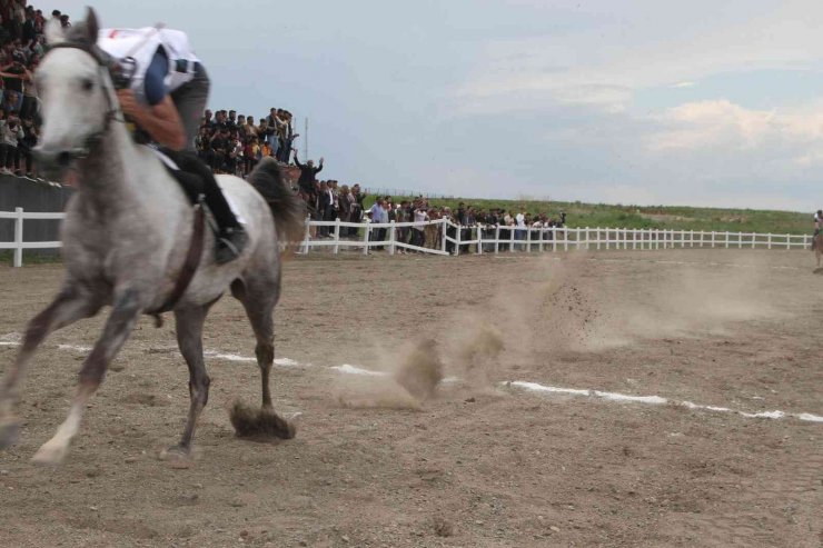 Malazgirt’te 19 Mayıs etkinliğinde at yarışı yapıldı