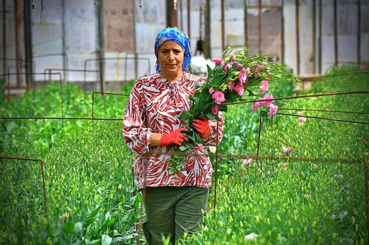 Bademler’in çiçek üreticisi Hollanda borsasında