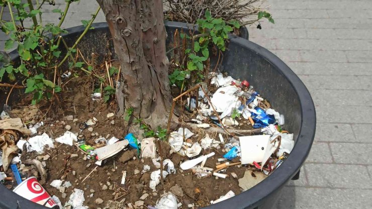 Duyarsız vatandaşlar bitki saksısını çöplük yaptı