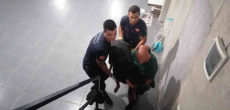 Antalya’da itfaiyeden bodrumda yaşayan ’Şişman köpek’ operasyonu