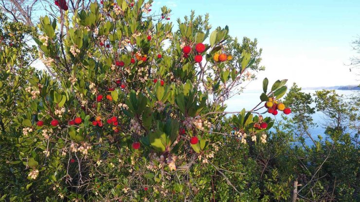 Faydasını bir ’bileydin’
