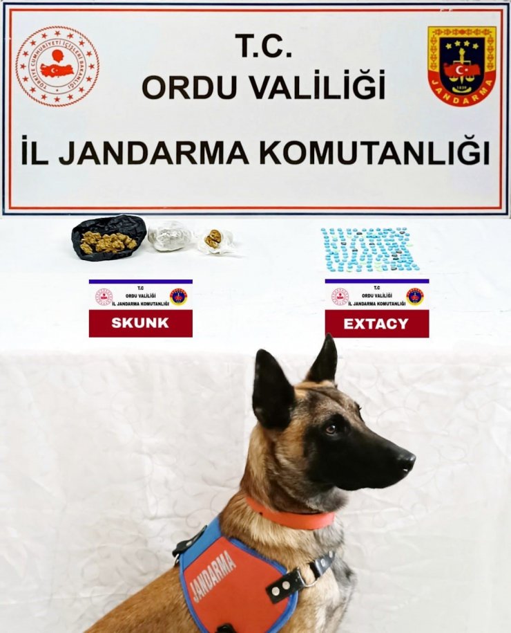 Ordu’da jandarma ekiplerinden uyuşturucu ve kaçak tütün operasyonu
