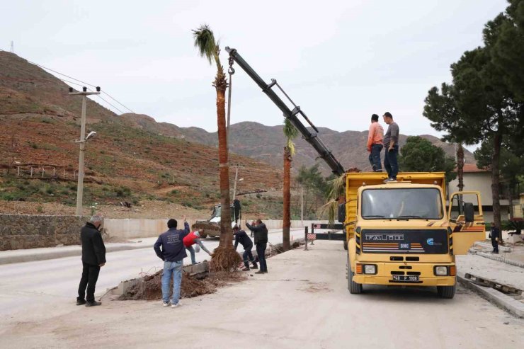 Marmaris’te palmiyeler toprakla buluştu
