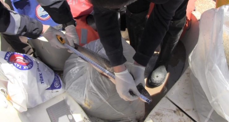 Prof. Dr. Veysel Eroğlu Ilısu Barajı’nda balık stok verim tahmin çalışmaları yapıldı