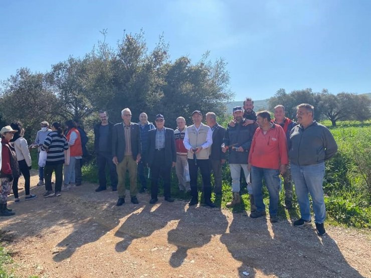 Zeytin budamayı uygulamalı öğrendiler