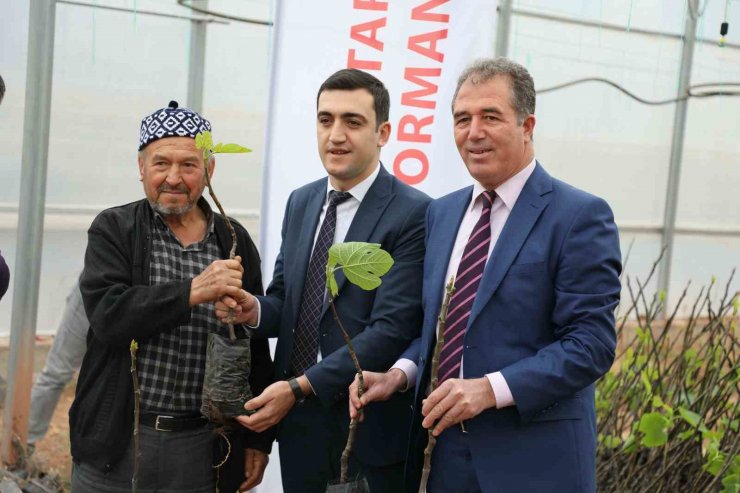 “Sarıcakaya’da İncir Yetişiyor” projesi